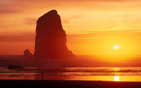 Summer wallpapers3